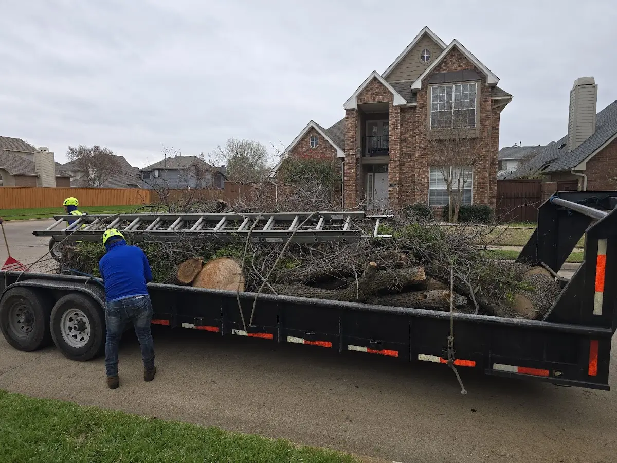 Expert Lot Clearing with proper safety equipment in Oswego